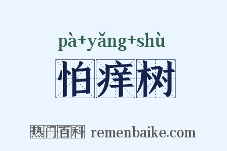 怕痒树是什么意思的图片